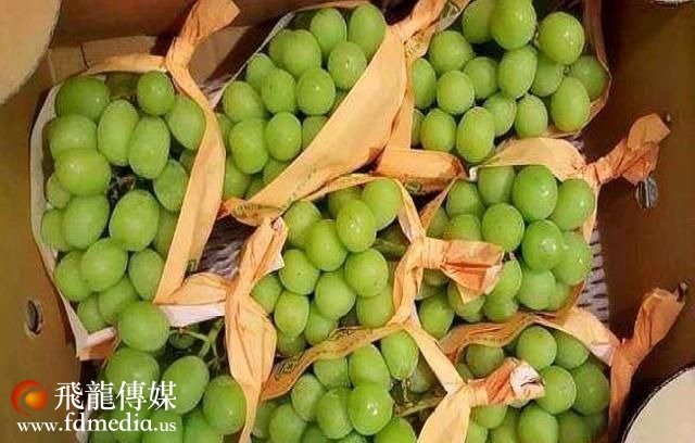 刘涛的减肥餐,杨紫的减肥餐都没她来的奢侈,网友:我不减肥了!