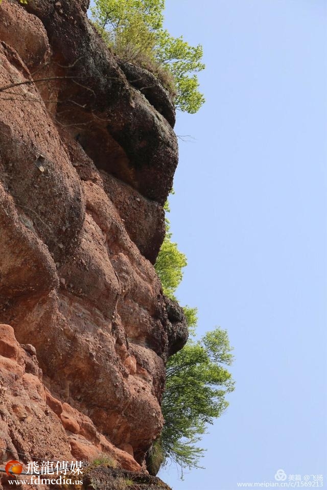 龙楼凤阙不肯住,飞腾直欲天台去!