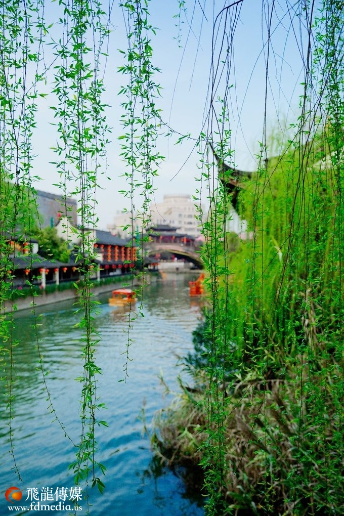 【杭州宋城】春风十里宋城梦,烟花三月下杭州