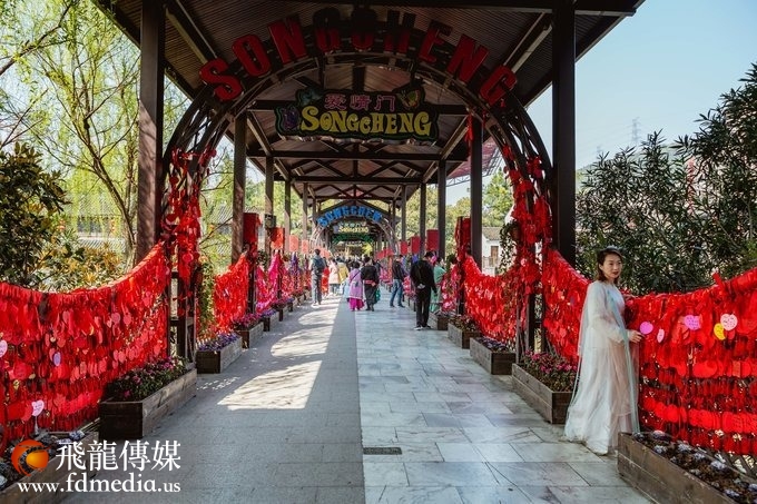 【杭州宋城】春风十里宋城梦,烟花三月下杭州