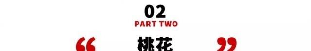 姑苏不只有园林古镇还有繁花似海,苏州全年赏花旅行攻略