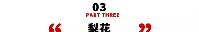 姑苏不只有园林古镇还有繁花似海,苏州全年赏花旅行攻略