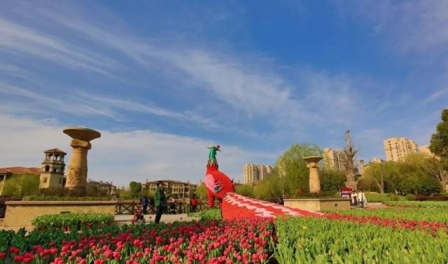 姑苏不只有园林古镇还有繁花似海,苏州全年赏花旅行攻略