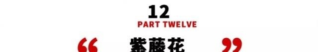 姑苏不只有园林古镇还有繁花似海,苏州全年赏花旅行攻略