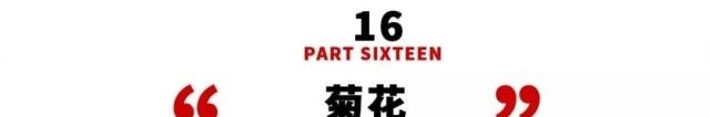 姑苏不只有园林古镇还有繁花似海,苏州全年赏花旅行攻略