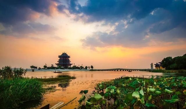 姑苏不只有园林古镇还有繁花似海,苏州全年赏花旅行攻略